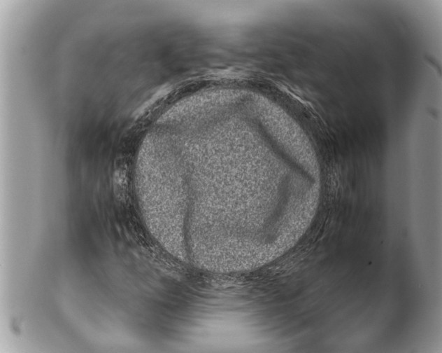 X0000101171254200807251125