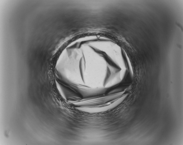 X0000101171256200807251125