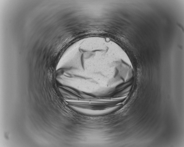 X0000101171257200807251125
