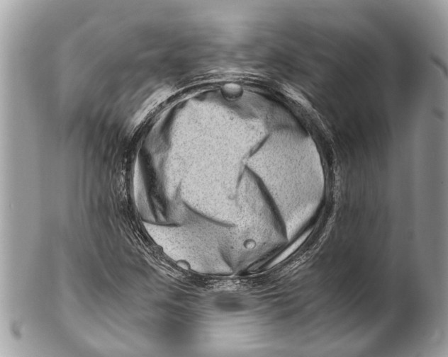 X0000101171259200807251125