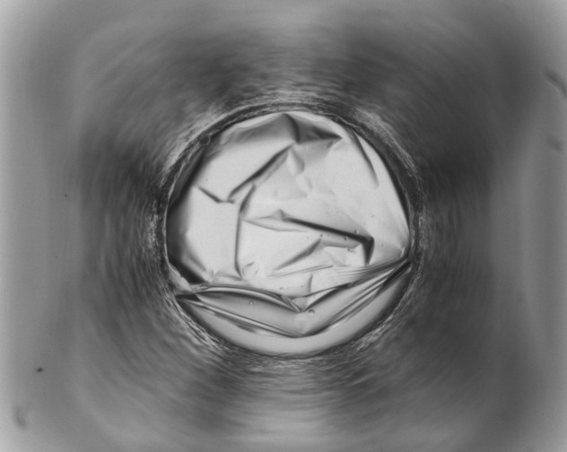 X0000101171260200807251125
