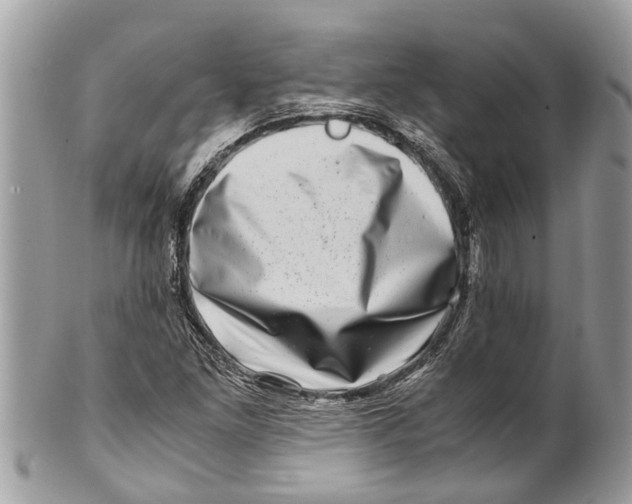 X0000101171261200807251125