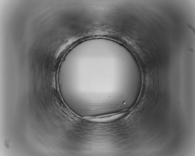 X0000101171262200807251125