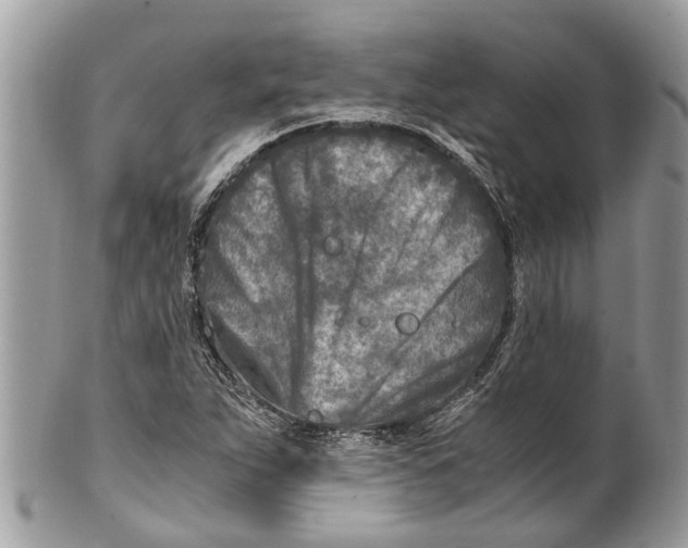 X0000101171263200807251125