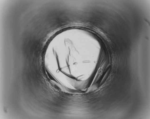 X0000101171264200807251125