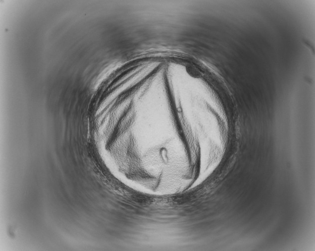 X0000101171267200807251125