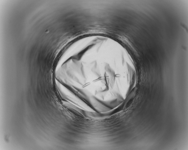 X0000101171268200807251124