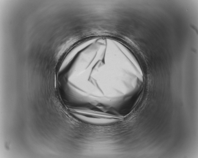 X0000101171269200807251124