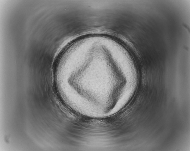 X0000101171270200807251124