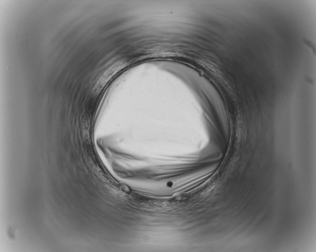 X0000101171273200807251124