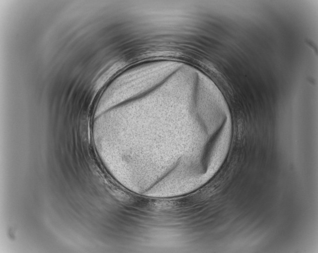 X0000101171274200807251124