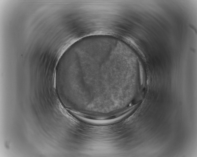 X0000101171276200807251124