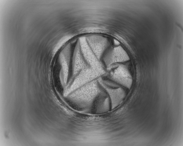 X0000101171277200807251124