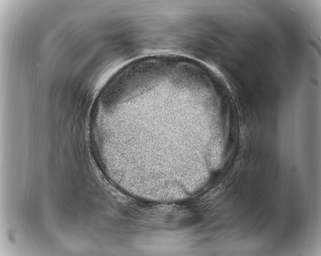 X0000101171279200807251124