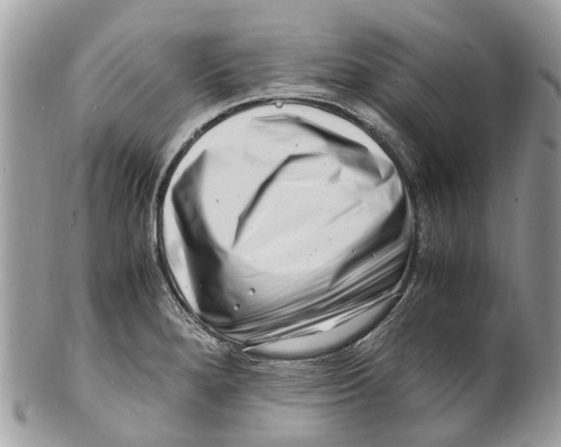 X0000101171280200807251124