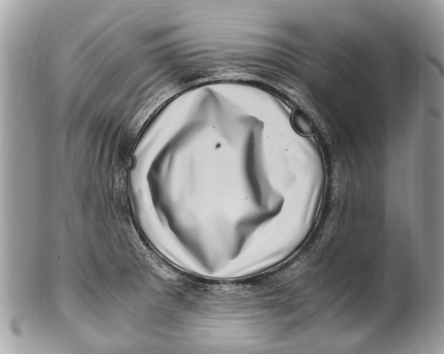 X0000101171281200807251124