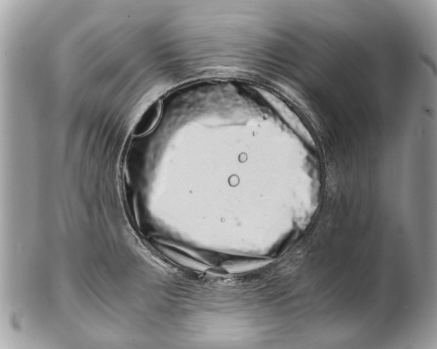 X0000101171283200807251124