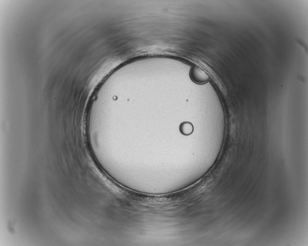 X0000101171285200807251124