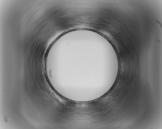 X0000101171286200807251124