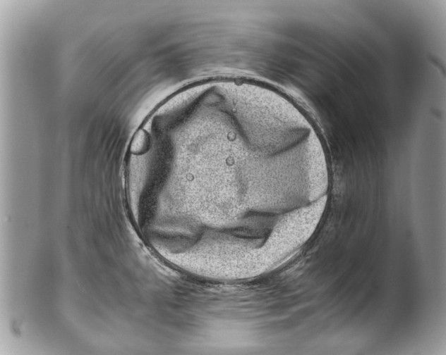 X0000101171287200807251124