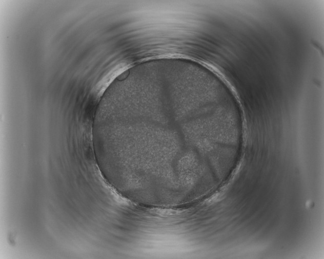 X0000101171289200807251124