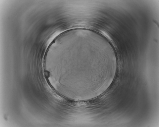 X0000101171291200807251124
