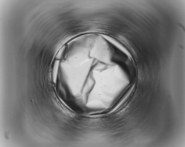 X0000101171292200807251124