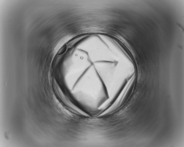 X0000101171293200807251124