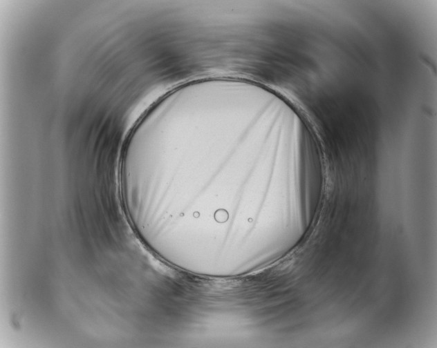 X0000101171294200807251124