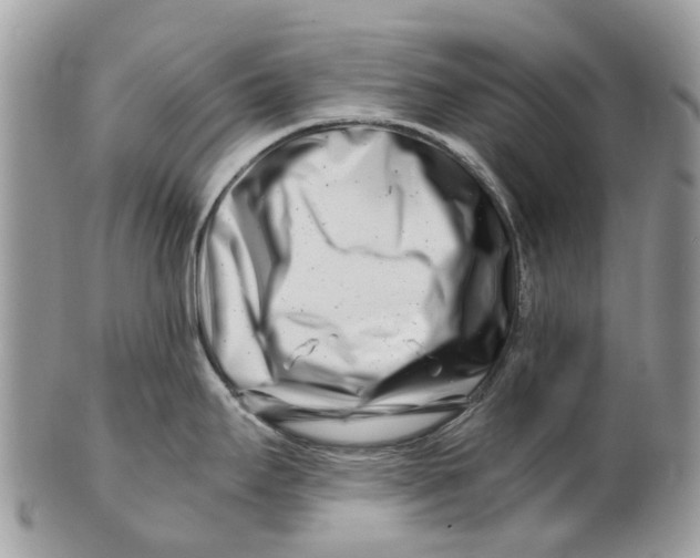 X0000101171295200807251124