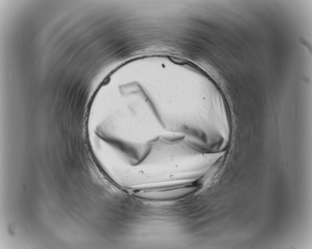 X0000101171296200807251124