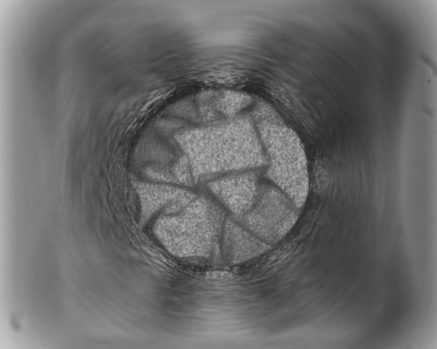 X0000101171297200807251123