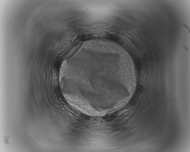 X0000101171298200807251123