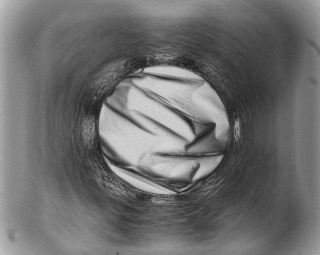 X0000101171299200807251123