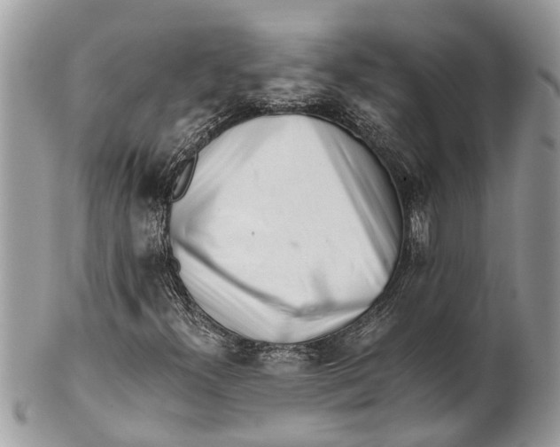X0000101171300200807251123