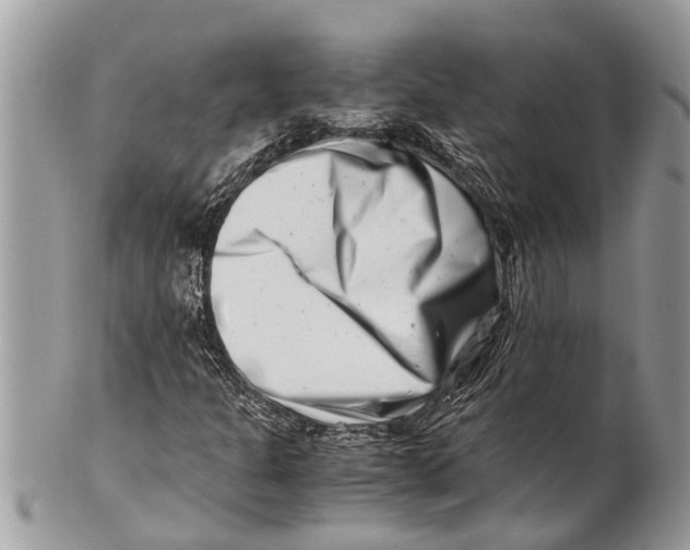 X0000101171301200807251123