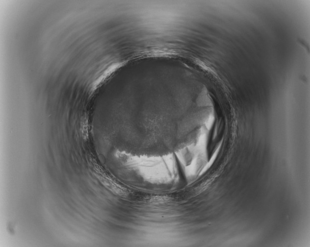 X0000101171306200807251124