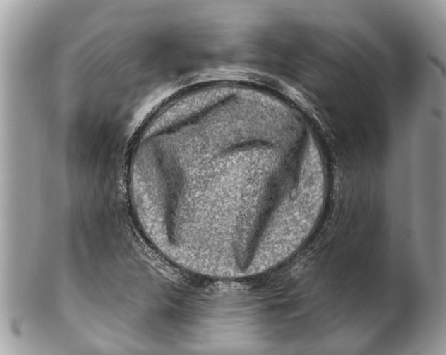 X0000101171312200807251124