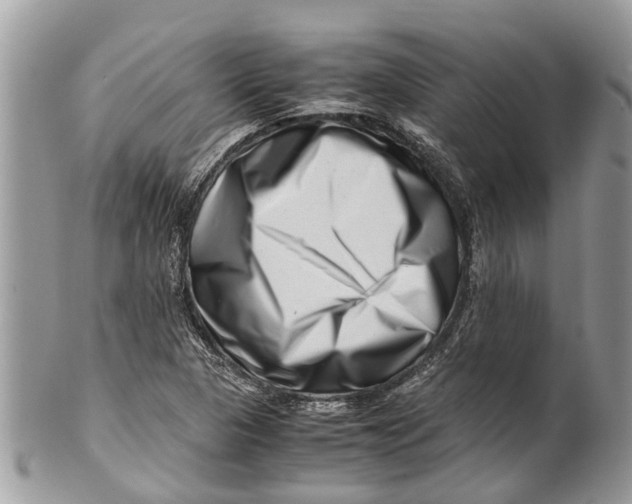 X0000101171313200807251124