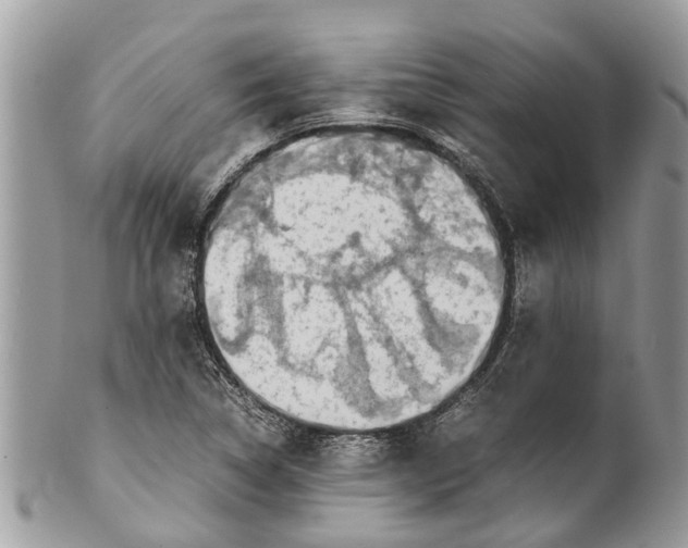 X0000101171314200807251124