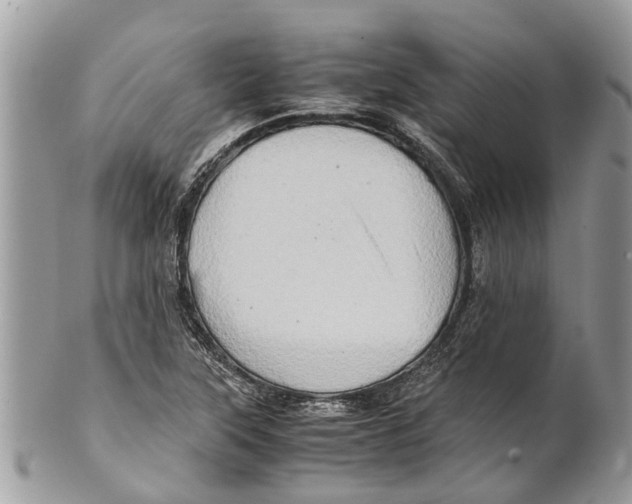 X0000101171315200807251124