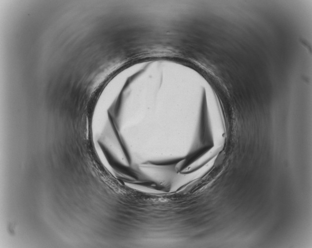 X0000101171317200807251124