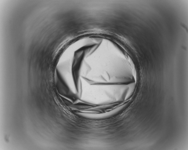 X0000101171318200807251124
