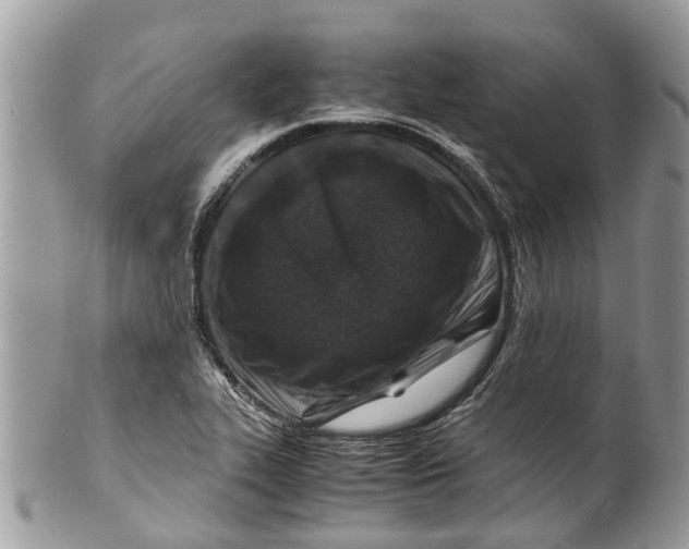 X0000101171319200807251124