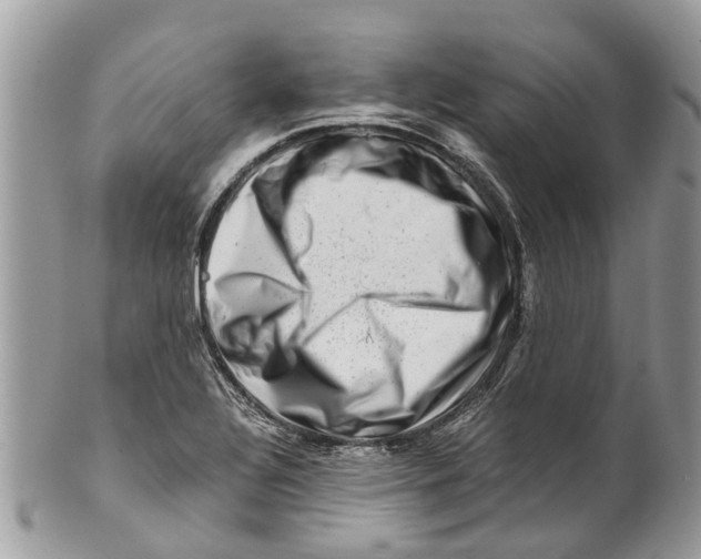 X0000101171320200807251124