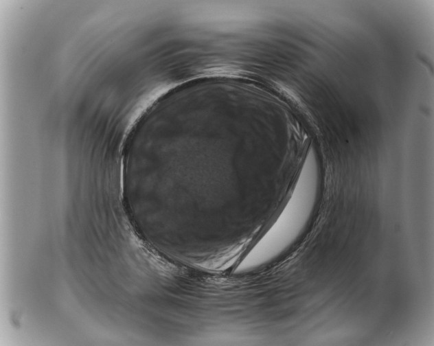 X0000101171323200807251124