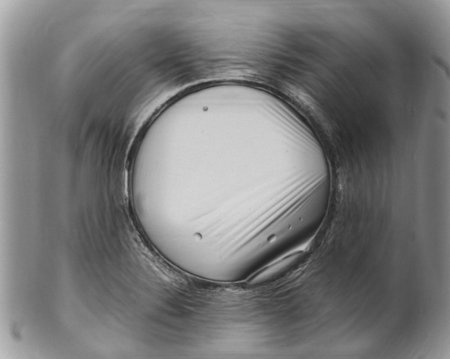 X0000101171324200807251124