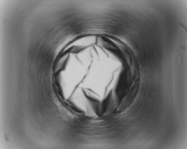 X0000101171325200807251124