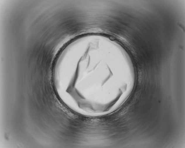 X0000101171326200807251124