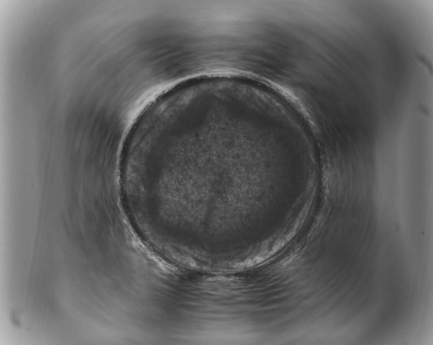 X0000101171327200807251124